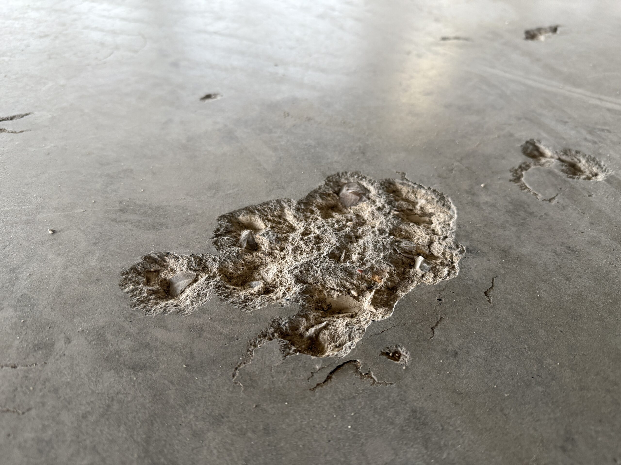 Hollowed out concrete pavement